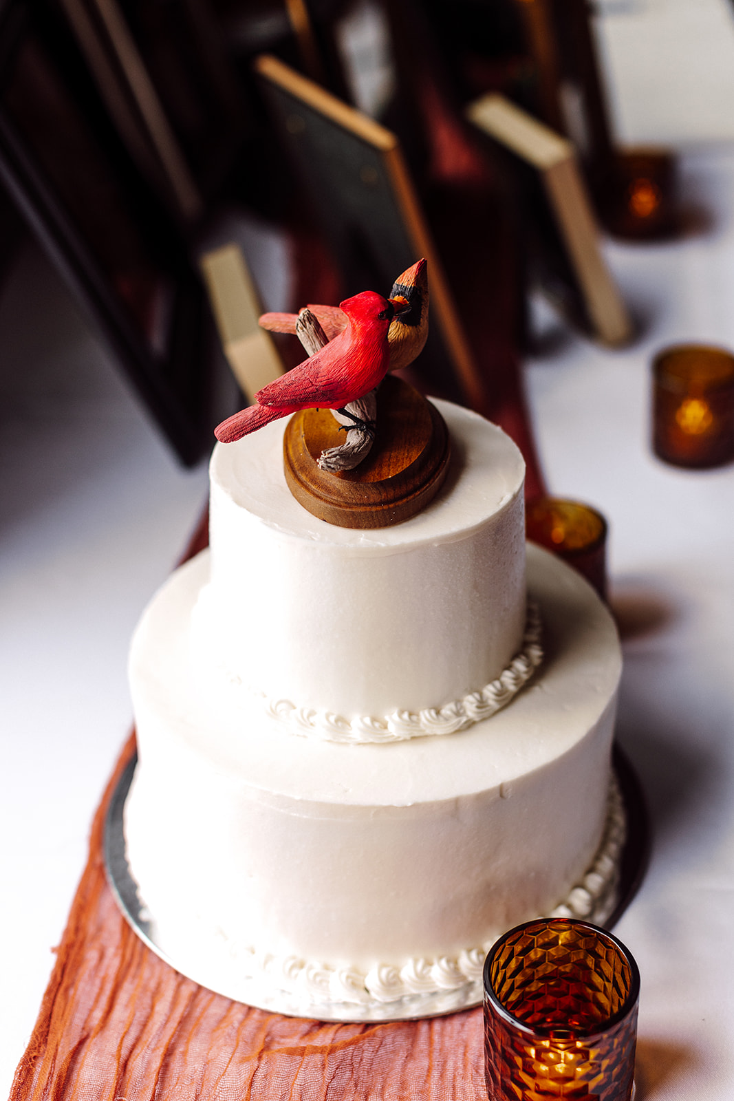 Adirondack Lake wedding