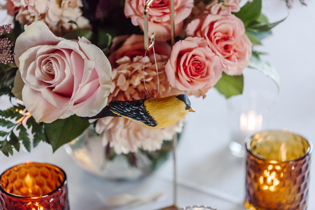 Adirondack Lake wedding