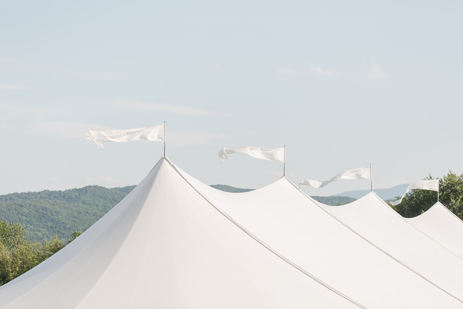 white pole tent flags on a summer day